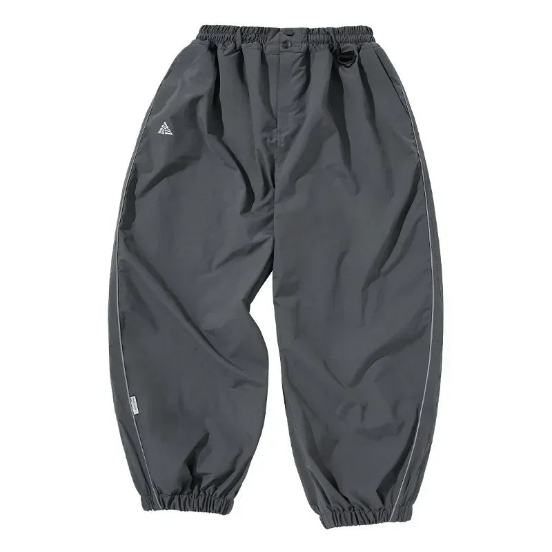 Zanima's silver baggy snow pants
